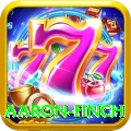 aaron finch Turbo Pro v1.1.1