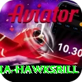 antigua hawksbill Premium Plus v1.5.8