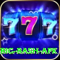 bbl big bash apk Apps (Tools & Injectors) Master v5.7.8
