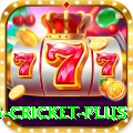 bet365 cricket Gaming Extreme