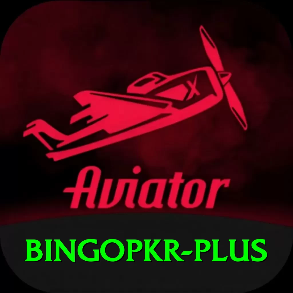 bingopkr Pro v2.2.6 - 2