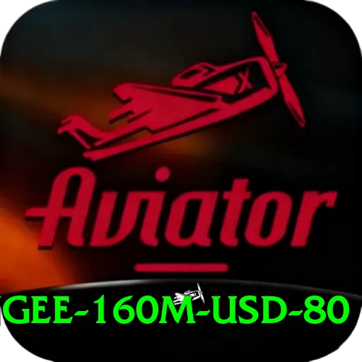 bungee 160m usd 80 Apps (Tools & Injectors) Plus v5.4.7 - 2