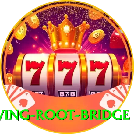 cherapunji living root bridge Games (Casino & Earning) Master v1.4.8 - 2