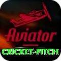cricket pitch Elite v1.9.5