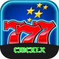 crickex Master v2.1.4