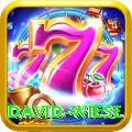 david wiese Pro Edition v5.1.4