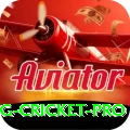 eng cricket Slots Extreme v1.1.5