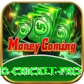 england cricket Game Deluxe v3.9.2