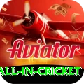 fastest ball in cricket Pro Edition v2.0.5