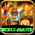 india pakistan cricket match Gold v4.4.3