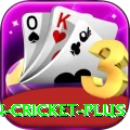 india pakistan cricket Game King v4.7.0