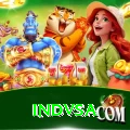 indvsa Plus Edition v1.8.7