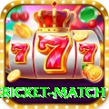 international cricket match Ultimate v3.0.5