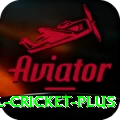 international cricket Casino Official v3.2.1