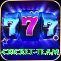 ireland cricket team Apps (Tools & Injectors) Premium v5.2.1