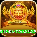 naseem shah yorkers Plus Edition v4.3.6