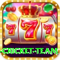 new zealand cricket team Max v5.3.1