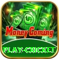 play cricket Apps (Tools & Injectors) Deluxe v5.9.1