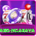 richard ngarava Pro v4.5.5
