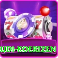 rudi koertzen Pro Max v2.3.0