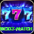 to day cricket match Pro Edition v4.1.9