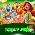 tojay Pro v4.1.1