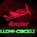 willow cricket Apps (Tools & Injectors) Pro v3.7.3