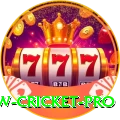 willow cricket Champion Slots
